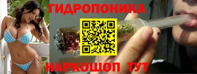 эйфоретик Бузулук